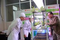Bóng đèn Rạng Đông cùng người dân phát triển nông nghiệp 