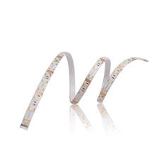 Đèn Dây LED 12W/m Philips 30732 Philips 30732