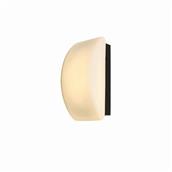 Đèn Tường Chao Thuỷ Tinh H230mm AL-W5815 AL-W5815