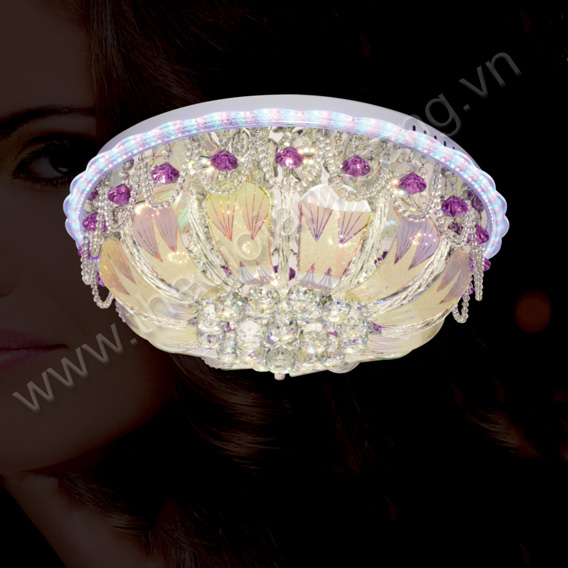 Đèn mâm áp trần LED trang trí Ø600mm HP217-ML8001/600  HP217-ML8001/600